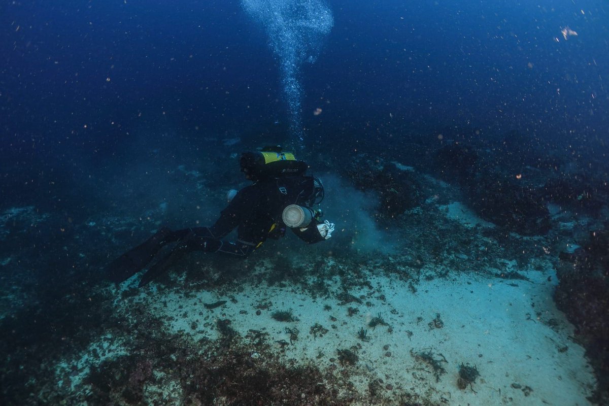 COMGEBAL_ET's tweet photo. La sección de buceo del Club Deportivo Militar "Mallorca",  junto con el PNMT de #Cabrera han  iniciado la campaña de limpieza de fondos marinos 2024, con varias inmersiones durante las que se están extrayendo gran cantidad de redes y basura
@MCANA_ET #COMGEBAL @oapngob #MAPER https://t.co/U7hBG5iDeK