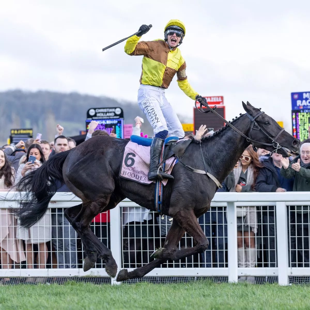 GuideToRacing's tweet photo. £50 CASH TO TWO PEOPLE IF GALOPIN DES CHAMPS WINS THE GOLD CUP… 🏆

All you need to do is…

£50 to someone who LIKES This Tweet 👍
£50 to someone who RT’s This Tweet ♻️

Must Follow @GuideToRacing ✅ https://t.co/Ndk3emSMja