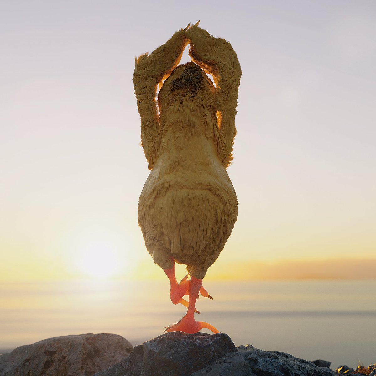 🐣 Chicks Berry 🐣 tweet media