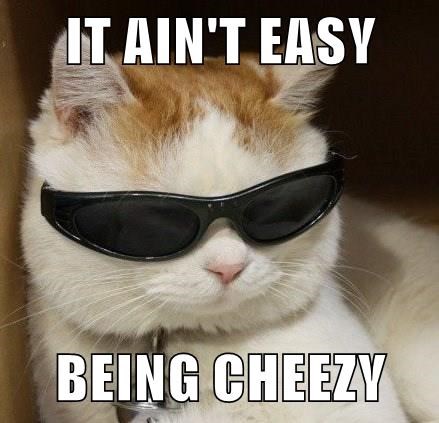 SOLCATS (@SolCatsOfficial) / Posts / X