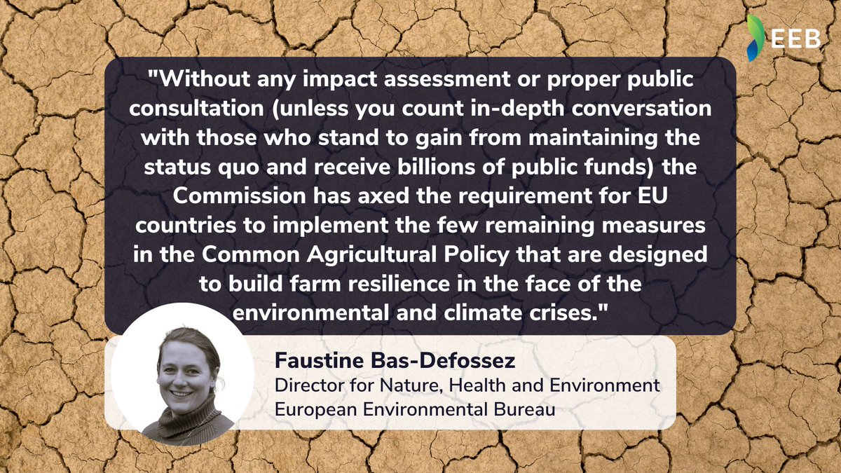 European Environmental Bureau tweet media