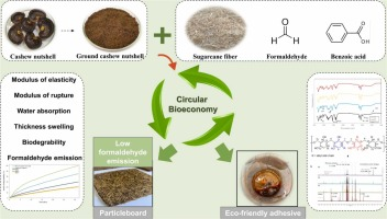 EdyBrito8's tweet photo. Our contribution to #cashew #circulareconomy 
https://t.co/6r3lUxOd1T https://t.co/WhOPj1FfvX