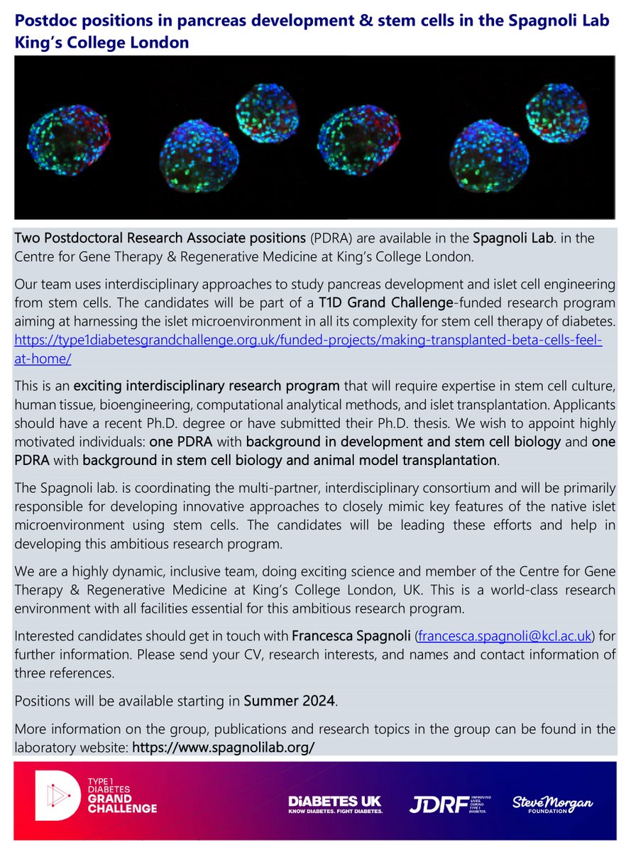 📣Spread the news -- we are hiring Highly motivated #postdocs to lead exciting interdisciplinary projects on #stemcells #islet #niche 🧫🧪 #Type1DiabetesGrandChallenge Learn more at spagnolilab.org Email me if interested & Join us at @KCLstemcells Check out the ads ⤵️