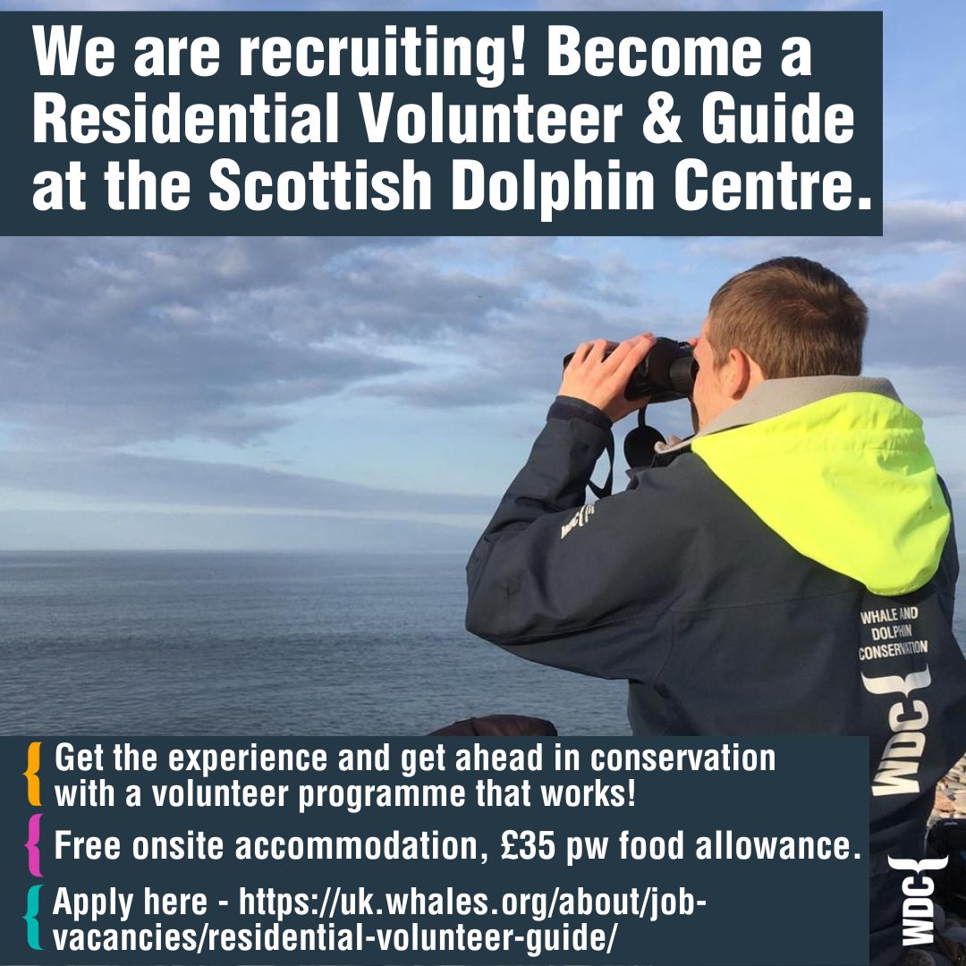 We are recruiting for two positions - find out more and apply here 👇 uk.whales.org/about/job-vaca… #wdcvolunteering #scottishdolphincetre