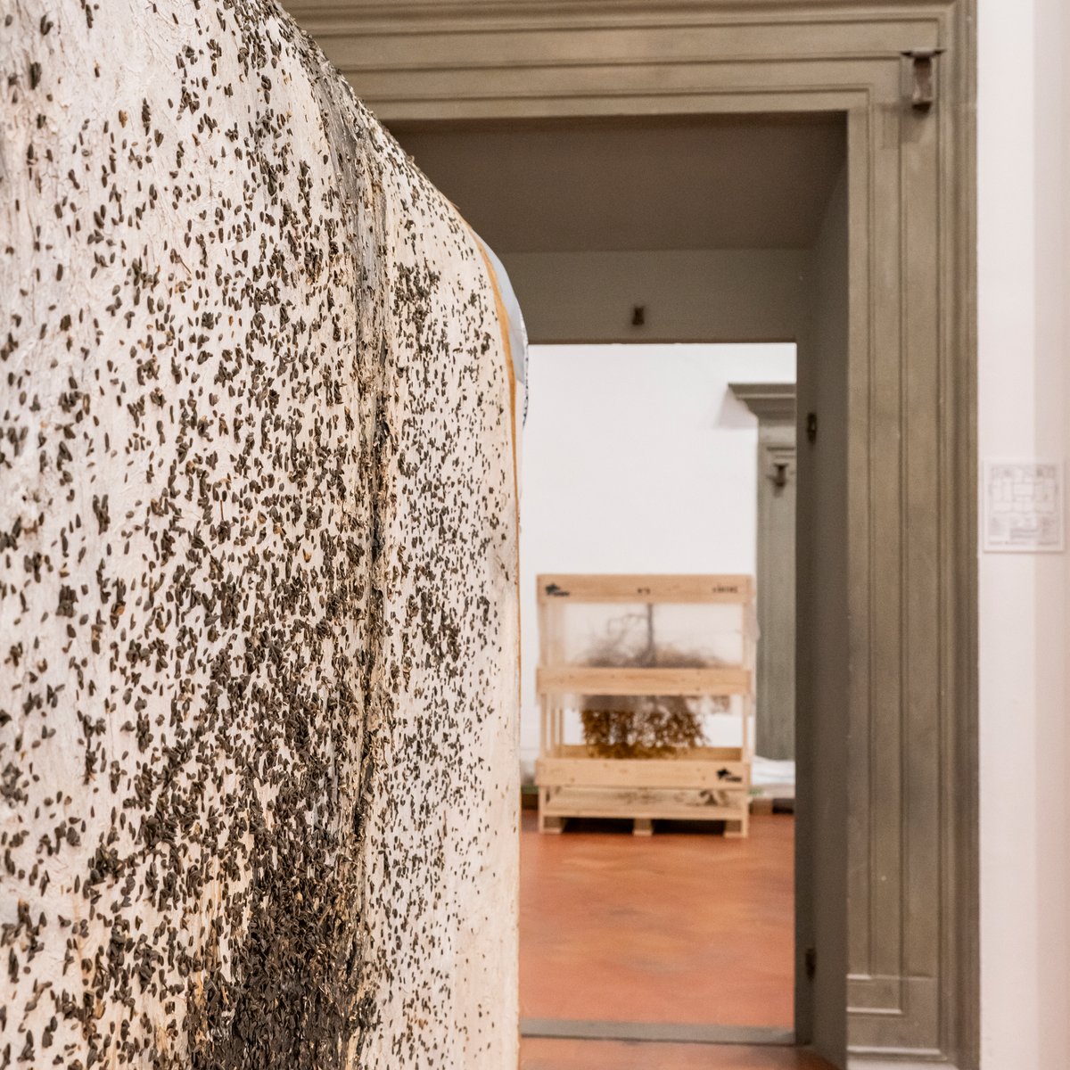 Aggiornamenti dal cantiere di allestimento di #AnselmKiefer #AngeliCaduti a #PalazzoStrozzi. Scopri di più sulla mostra: ow.ly/nrH550QTxJA