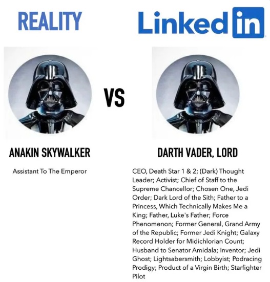 EvaFox's tweet image. 