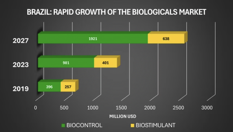 ¿𝗤𝘂𝗲́ 𝗲𝘀𝘁𝗮́ 𝗽𝗮𝘀𝗮𝗻𝗱𝗼 𝗰𝗼𝗻 𝗹𝗼𝘀 𝗽𝗿𝗼𝗱𝘂𝗰𝘁𝗼𝘀 𝗯𝗶𝗼𝗹𝗼́𝗴𝗶𝗰𝗼𝘀 𝗲𝗻 𝗕𝗿𝗮𝘀𝗶𝗹? ¿𝗦𝗲 𝗽𝗼𝗱𝗿í𝗮 𝗰𝗼𝗽𝗶𝗮𝗿 𝗲𝗹 𝗺𝗼𝗱𝗲𝗹𝗼 𝗲𝗻 𝗘𝘂𝗿𝗼𝗽𝗮?
Interesante artículo de <a href="/DunhamTrimmer/">DunhamTrimmer LLC</a> 👇🏽
…businessglobal-com.cdn.ampproject.org/c/s/www.agribu…

#agricultura