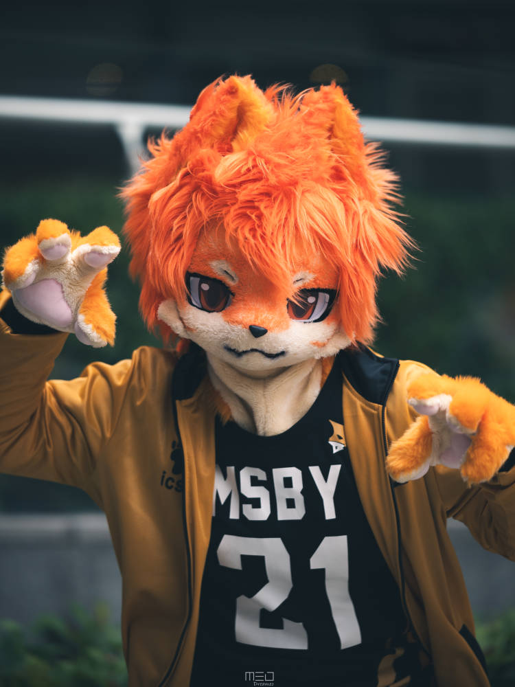 #FursuitFriday 是狼队小狗！