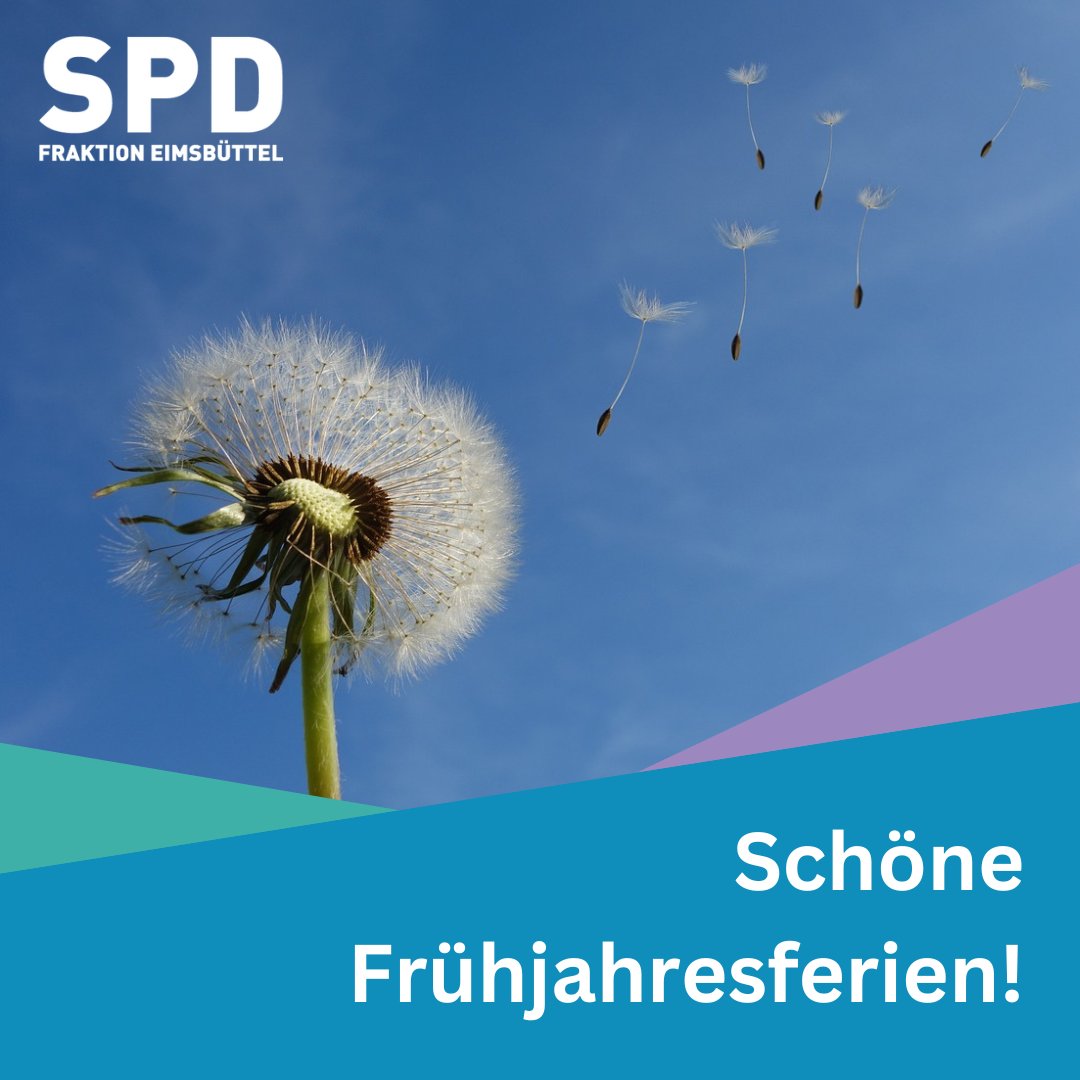 SPD-Fraktion Eimsbüttel tweet media