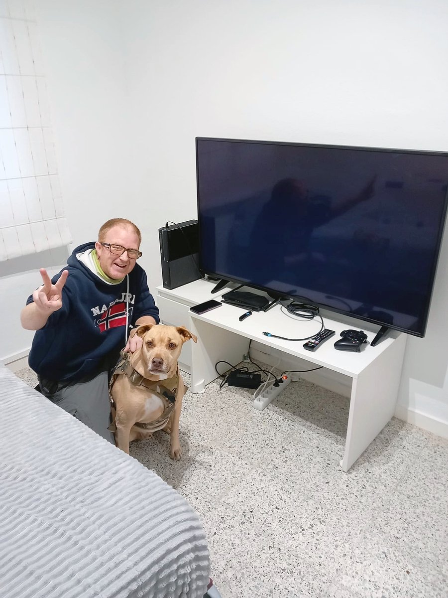 Grupdem Sccl tweet media