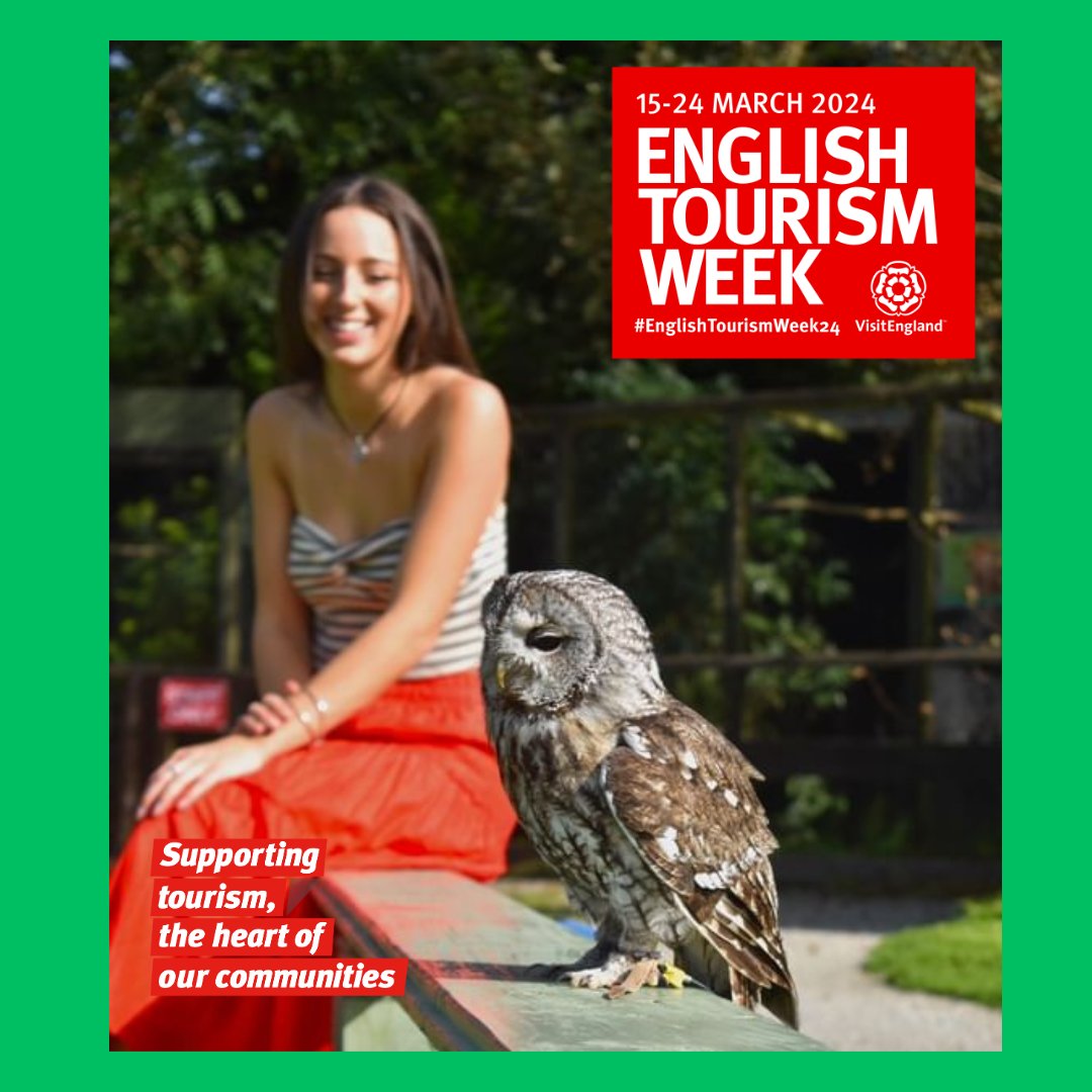 Today is the start of English Tourism Week @VisitEnglandBiz We are open 10am to 4pm 16th & 17th March & 23rd & 24th March, come and visit an attraction at the heart of the local community. Meet Bob and the rest of our flying team at our twice daily flying #screechowlsanctuary