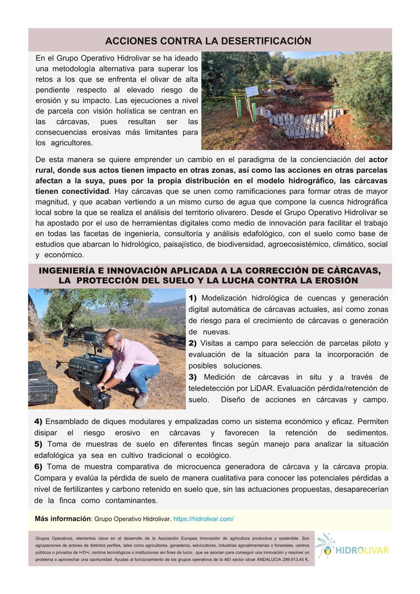 HIDROLIVAR's tweet photo. #FactSheet HIDROLIVAR
Gestión y Mejora del #suelo a en el #olivartradicional de alta pendiente.
👉Acciones contar la #desertificación.
👉Corrección de #cárcavas y protección del suelo. https://t.co/TsRn4xZ7rs