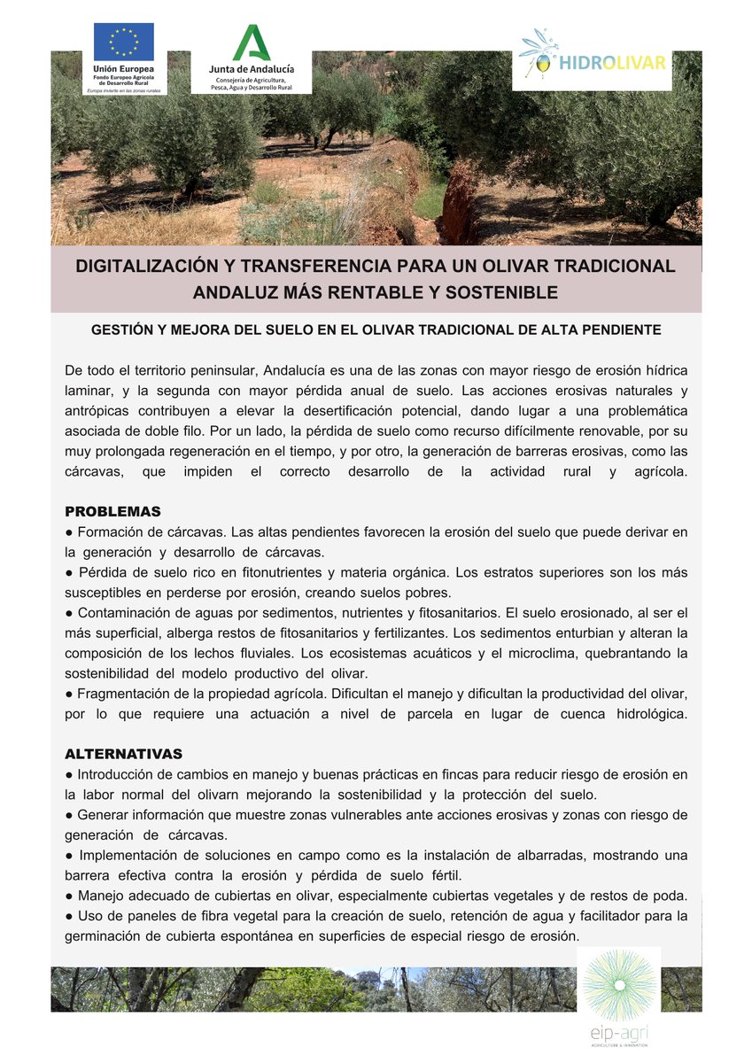 HIDROLIVAR's tweet photo. #FactSheet HIDROLIVAR
Gestión y Mejora del #suelo a en el #olivartradicional de alta pendiente.
👉Acciones contar la #desertificación.
👉Corrección de #cárcavas y protección del suelo. https://t.co/TsRn4xZ7rs