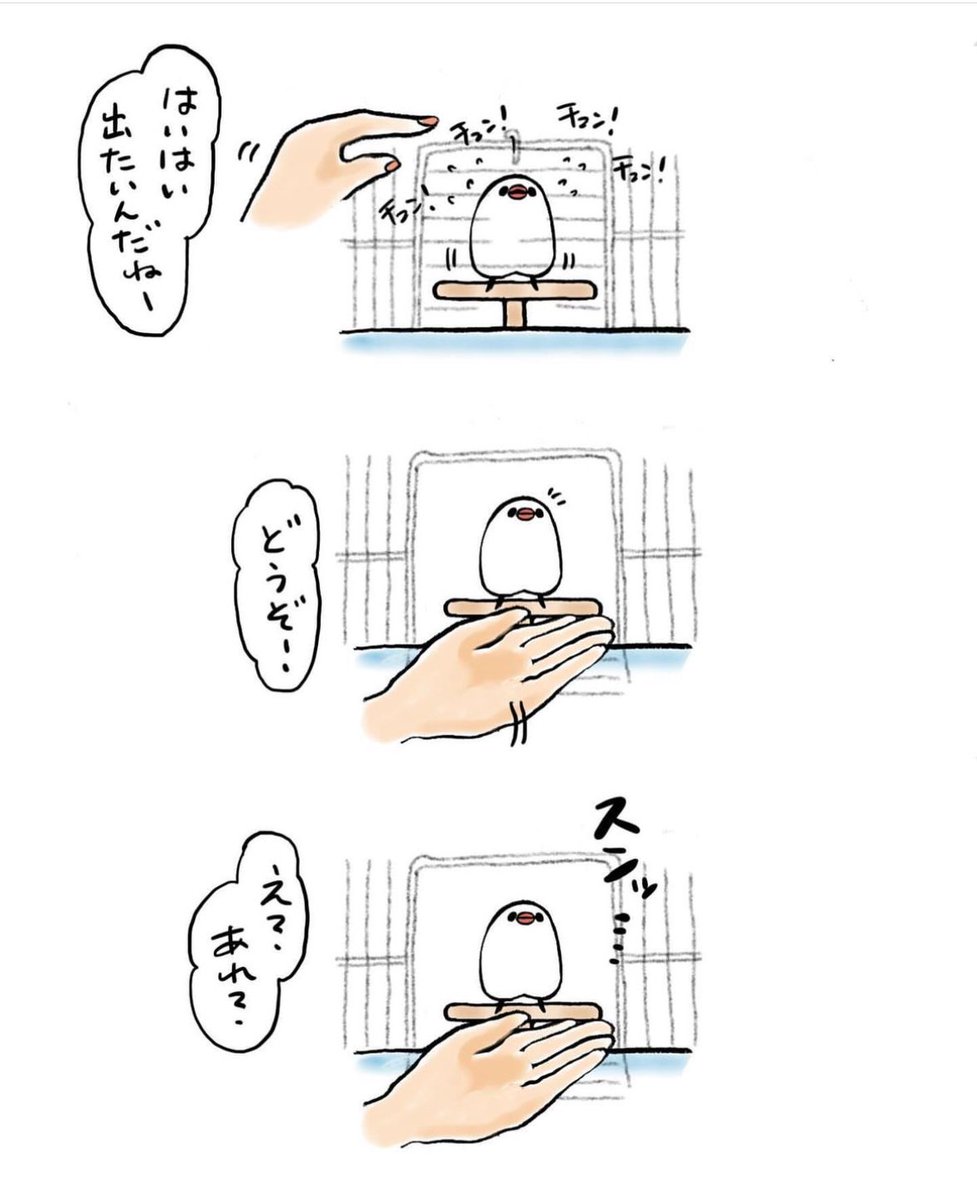 明日も20〜21時にイラスト投稿します🐦
『急にスンッてなるのなあぜなあぜ?』(再掲) 
