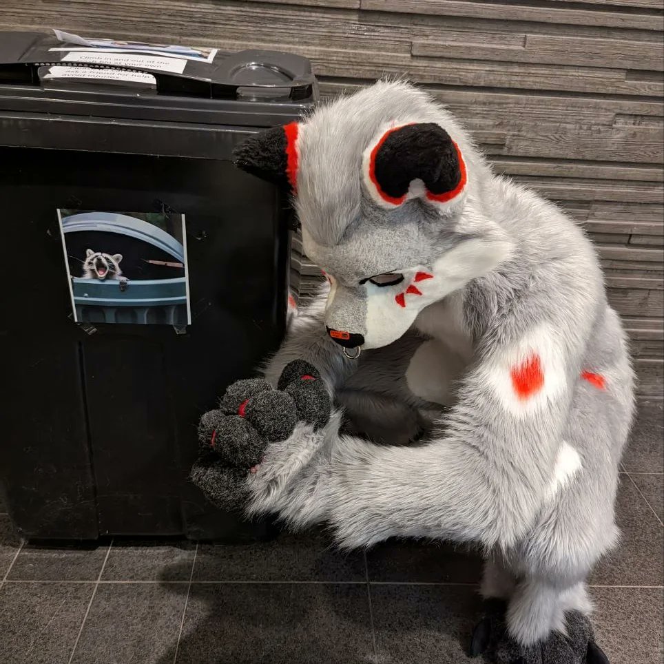 мıпт 🌱 tweet media