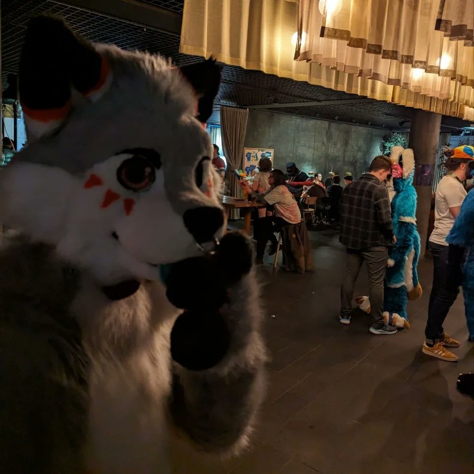 мıпт 🌱 tweet media