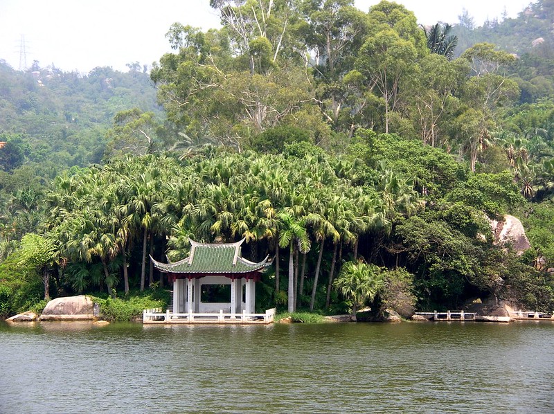 Where to see #palms... Xiamen Botanical Garden, #China. 📷: Sara Yeomans CC BY 2. #Where2CPalms