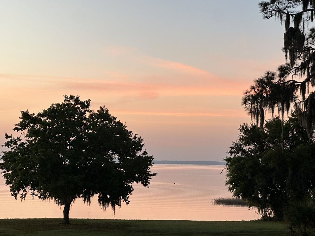 Cotton candy colored morning sky. 

#florida #lakelife #sunshinestate