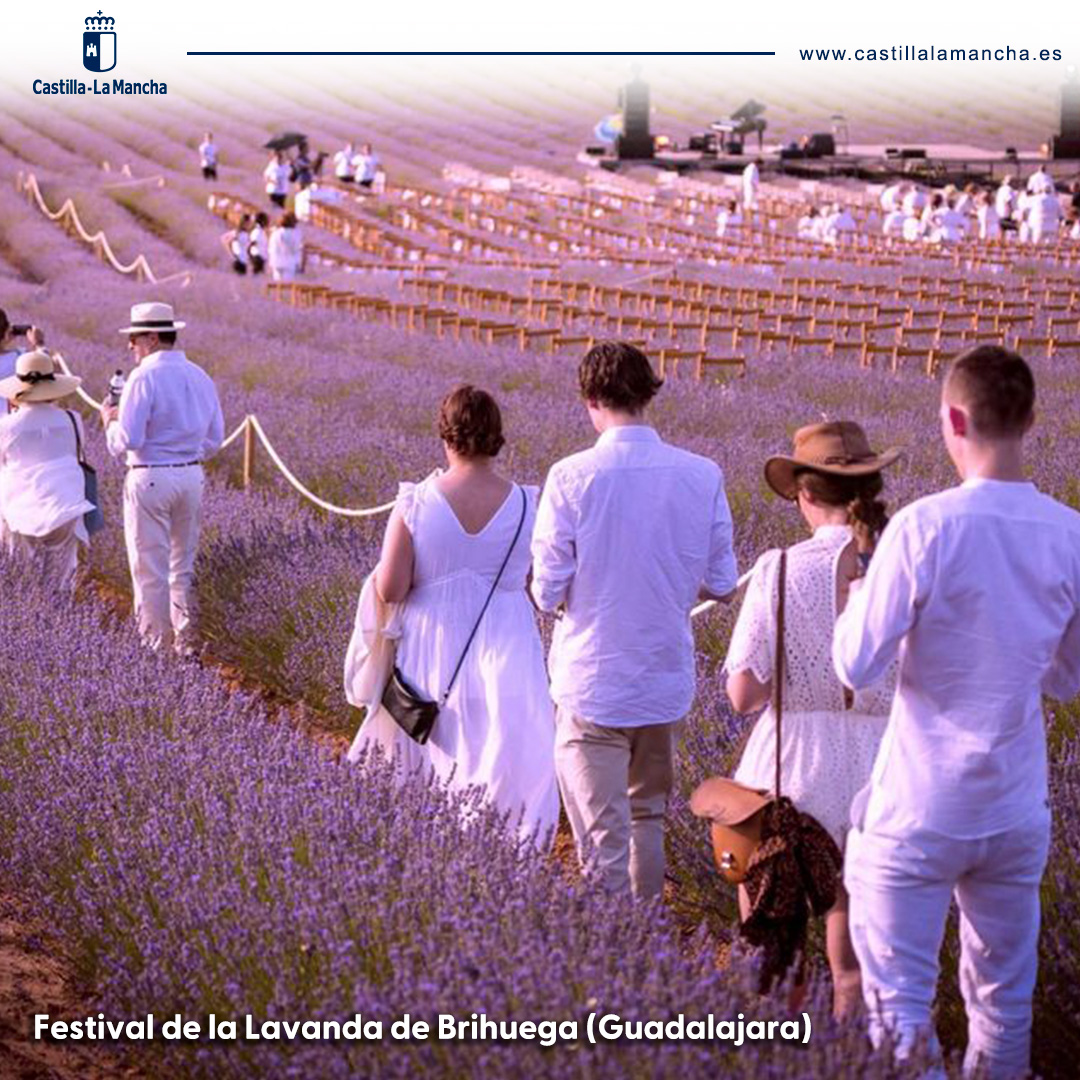 Brihuega aspira a ser #CapitaldelTurismoRural 2024. 

🪻 Cada mes de julio, este municipio celebra el Festival de la Lavanda. Sus campos se visten de morado e impregnan el aire con su peculiar aroma, un verdadero espectáculo que despierta los sentidos.