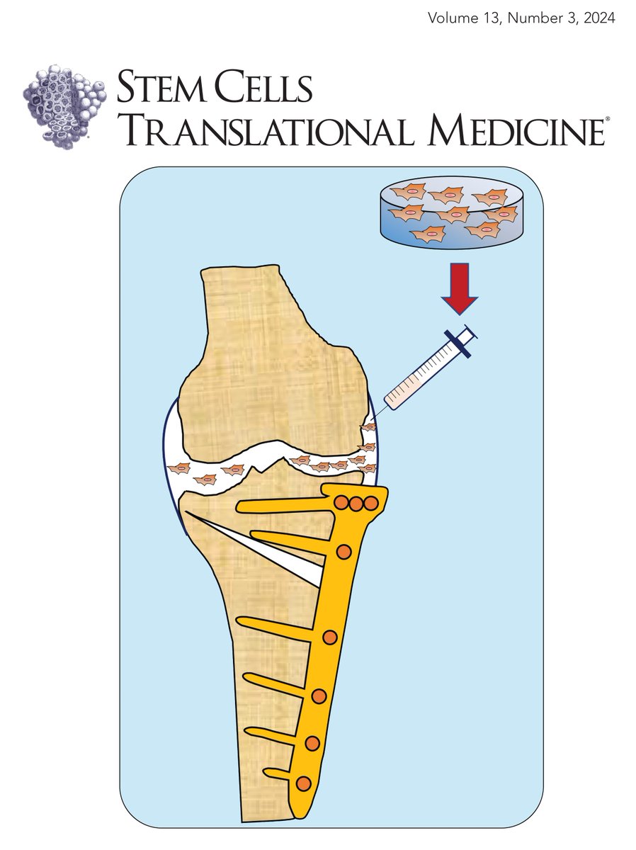 Read the March 2024 issue of Stem Cells Translational Medicine, now online @OxfordJournals: academic.oup.com/stcltm/issue/1… #openaccess #stemcells