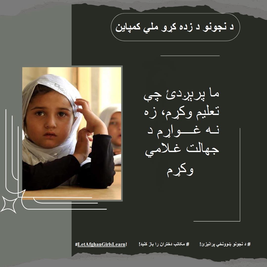 Nasrin Hamidi tweet media