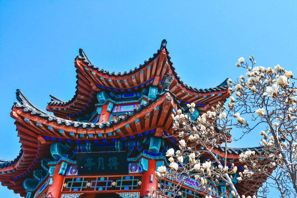 TouchShandong's tweet image. As spring arrives in March and the temperature gradually rises, Jinan, Shandong is bursting with vitality. Willow trees are sprouting new green leaves and magnolia flowers are waiting to bloom, creating a stunning spring landscape. (Photo by Zhou Bowen) #SpringVibe #flowerlovers