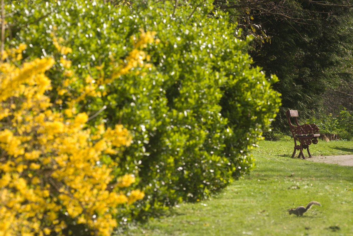 Explore the outdoors during the Easter holidays. Here are a few ideas of things to do! 🚶Enjoy an Easter walk 🌼Go on an Easter hunt 🌳Visit the park with friends and family 🖌️Create Easter arts and crafts See what's on this Easter: southtyneside.gov.uk/whatson