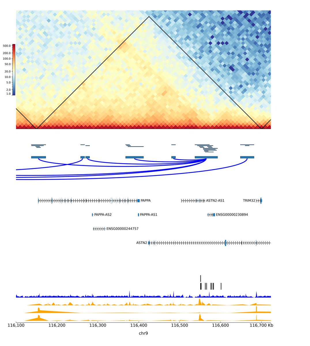 EleZeggini's tweet image. Diving deeper into the genomics of osteoarthritis 🧬 Pleased our work on  the first 3D map of chromatin interactions in primary osteoarthritis chondrocytes is out:) @G_Orozco_C 
ard.bmj.com/content/annrhe…