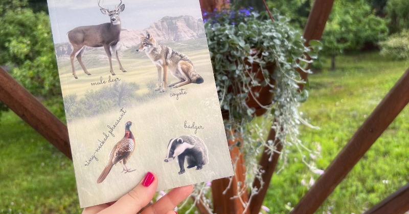 jomadalex's tweet photo. 📚 Introducing our Wildlife Notebook Collection! 🦅🌲 Each notebook represents the diverse wildlife of a different American state. 🦌From the stunning landscapes of Alaska to the vibrant ecosystems of California. 🐢Shop here: https://t.co/A8Y1Xbxqnn #WildlifeNotebooks #ShopNow 🦉