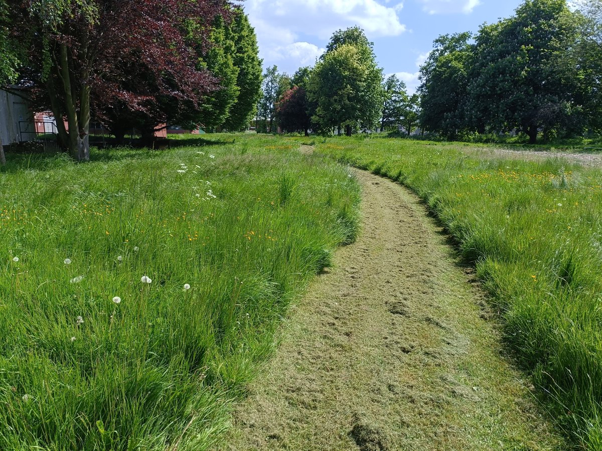 Two @citnatchallenge wildlife walks around the University of Warwick Campus at Wellesbourne on Saturday 27th April - in collaboration with Warwickshire Biological Records Centre.  Details and signing up here: eventbrite.co.uk/o/wbrc-8068531…