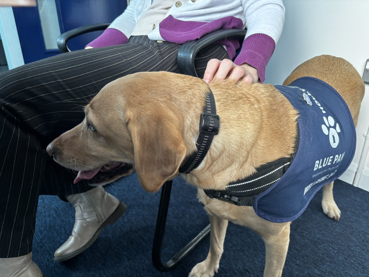 The end of a busy week for Blue Paw sees us at British Transport Police Colchester for a wellbeing visit, the officers have seen an increase in Trauma related incidents recently so a good time to chat have a brew and have some Holly time. @BTPEssex @BTP @FlintHouseRehab