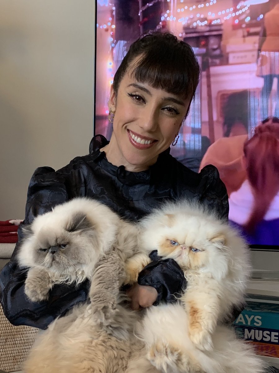 Randocats tweet media