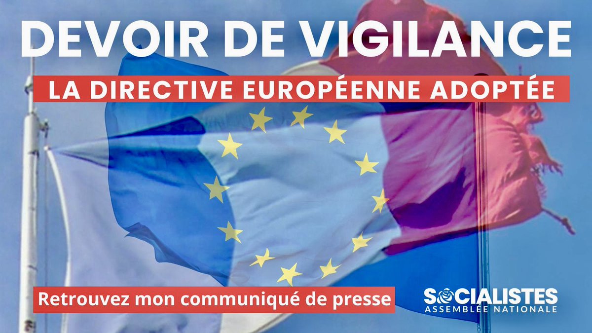 🔴 Une victoire historique pour les droits humains et l’environnement ! 
✅ accord in extremis sur la Directive #CSDDD #UE inspirée de la Loi #DevoirDeVigilance portée par les @socialistesAN en 2017 @etuc_ces @ECCJorg Retrouvez mon communiqué de presse 👉 shorturl.at/cEGJZ