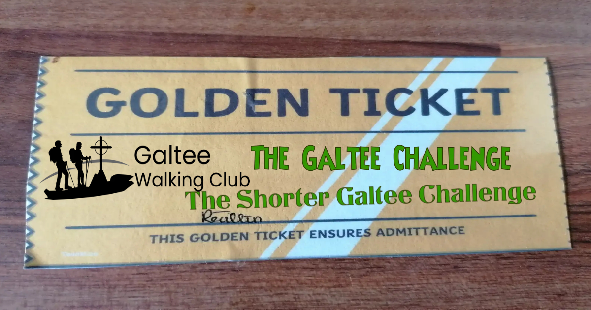 Galtee Walking Club tweet media