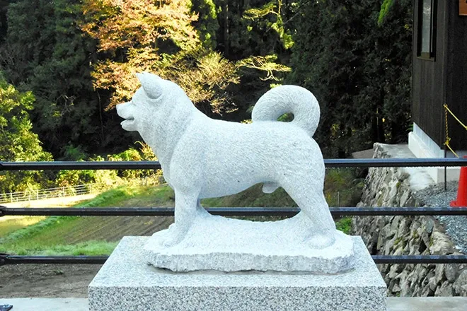 Please head over to the new tg. tweet media