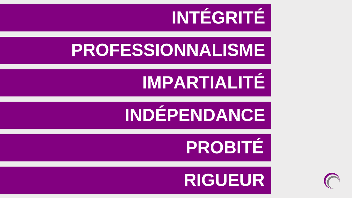 Plusieurs valeurs guident le Réseau dans la poursuite de sa mission. Il s’agit de principes auxquels tous les membres adhèrent dans l’exercice de leur mission respective.