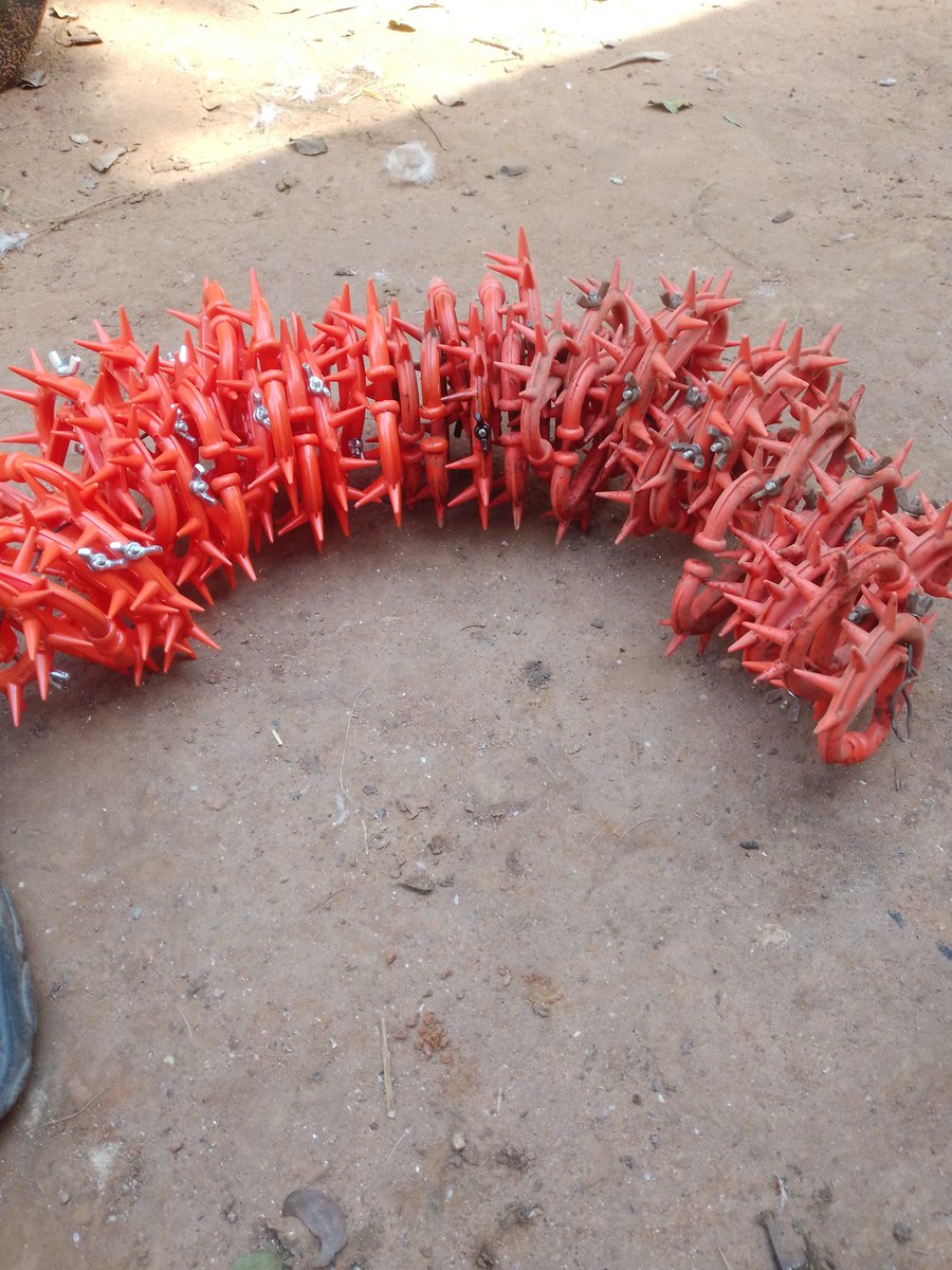 EdwardZhakata tweet media