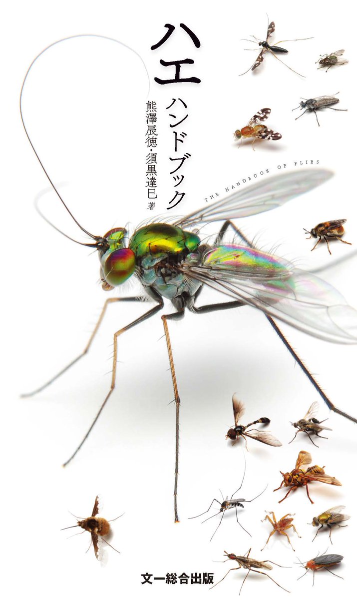 【新刊】『ハエハンドブック』（文一総合出版）が5月末発売予定となりました！
単独の図鑑がなかったハエ、アブ、カ、ガガンボなどのハエ目（双翅目）を約400種掲載。
ハエトリグモハンドブックの須黒達巳さん <a href="/haetorihiroba/">ハエトリひろば@ほそぼそ</a> に、多数の白バック写真を撮影いただきました！

bun-ichi.co.jp/news/tabid/tab…