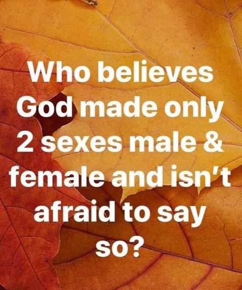 Do you believe this please reply with a yes or no