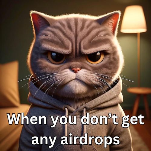 Purrfectfun's tweet photo. When #PURRFECT $PURR gets 0 airdrops after farming and following #airdrop threads

Which #airdrops did you miss?

Follow for more #crypto related #Memes 

$STRK $W $ARB $OP $MANTA $PYTH $DYM $TIA $ALT https://t.co/CXiSfMXJ6N