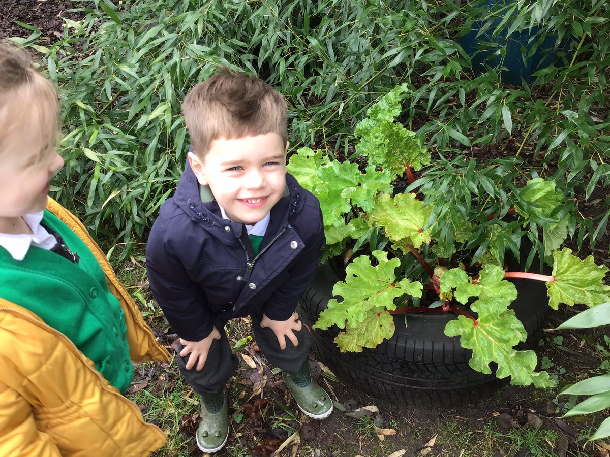 BVPS Reception Class Page tweet media