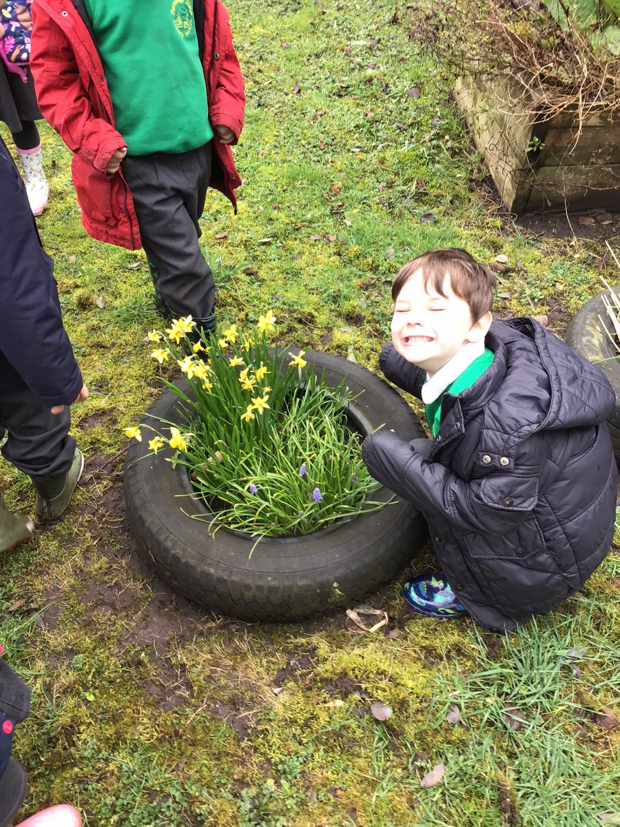 BVPS Reception Class Page tweet media