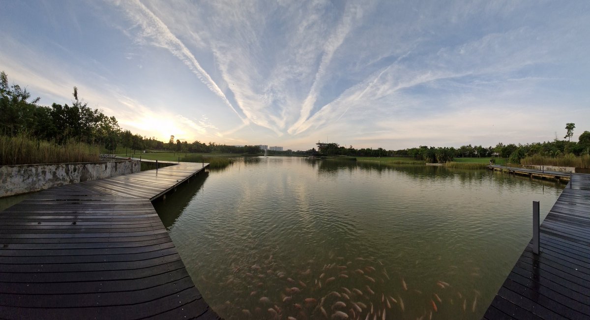 chewmeiling's tweet image. The 50 acre Central Park at our township. Feeding the fish is a weekly affair.
