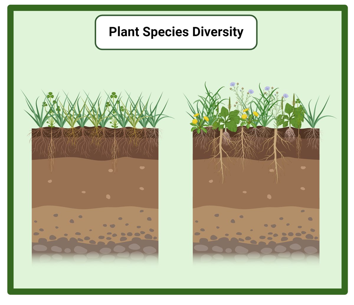 Are you a low-input or extensive #Grasslands farmer? Would you be interested in taking part in a study on how microbes cycle nutrients in your soil? 
Keen on hearing from the farmers in west and south of Ireland. Please get in touch🙂<a href="/teagasc/">Teagasc</a>
#loveirishresearch #TeagascJC