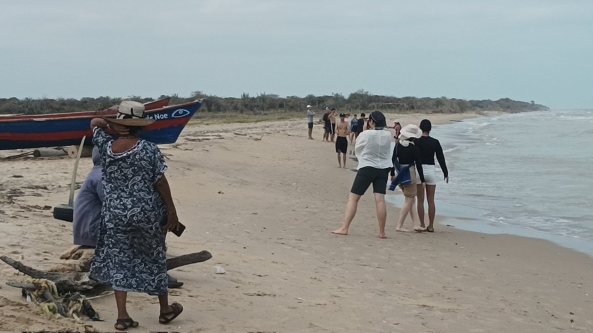 Equipo de CELEAM, profes y estudiantes de Ing. Ambiental @UdeMedellin_ acompañamos a la comunidad #Tuwliá en Cachaca III #LaGuajira en su trabajo de medición de la #Erosióncostera que ha causado el desplazamiento forzado de varias familias #MovilidadHumana #CambioClimatico 🧵