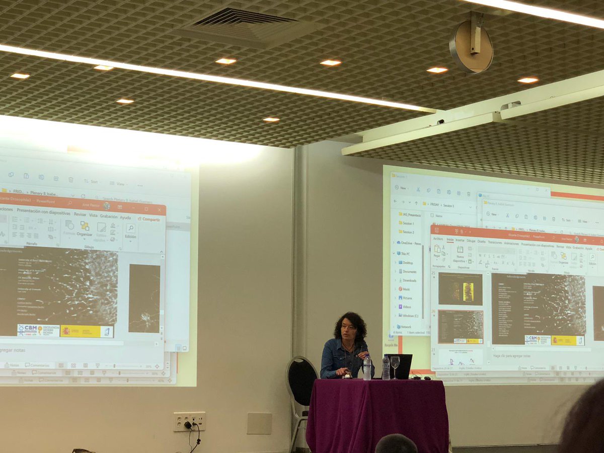 And on the second day of #DrosoSpain2024 we are having a great morning with an excellent plenary by Isabel Guerrero, the morphogenesis session chaired by @sofiajaraujo @AraujolabUB the gene regulation session chaired by @estella_carlos @CBMSO_CSIC_UAM