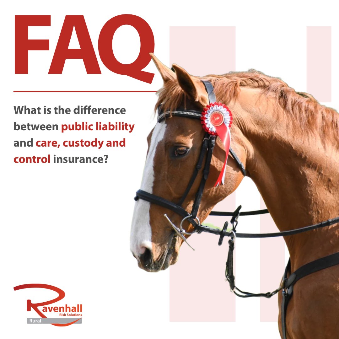 RavenhallRural's tweet photo. #PublicLiability #Insurance protects you against claims arising from injuries or damages sustained by third parties on your premises, while #CareCustodyAndControlnsurance specifically covers claims arising from the death or injury of horses in your care, custody &amp; control.

#FAQ https://t.co/5pteRXdUbq
