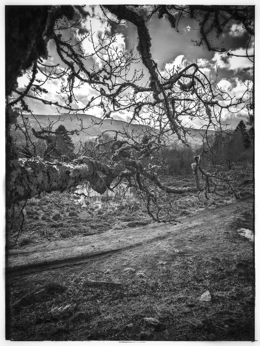 Keith Moss tweet media