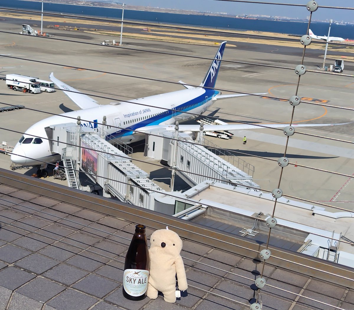 fumogugu's tweet photo. (・*・)< おむかえまえに ちょっとだけ
父のお迎えに羽田空港へ。
お天気もよくて絶好のおビール日和🍺
空港限定の羽田スカイエール✈️
#フモフモさん
#もぐぐ
#羽田空港
#BEERCAFE
#ビアカフェプラス
#スカイエール https://t.co/gRguR9YxRS