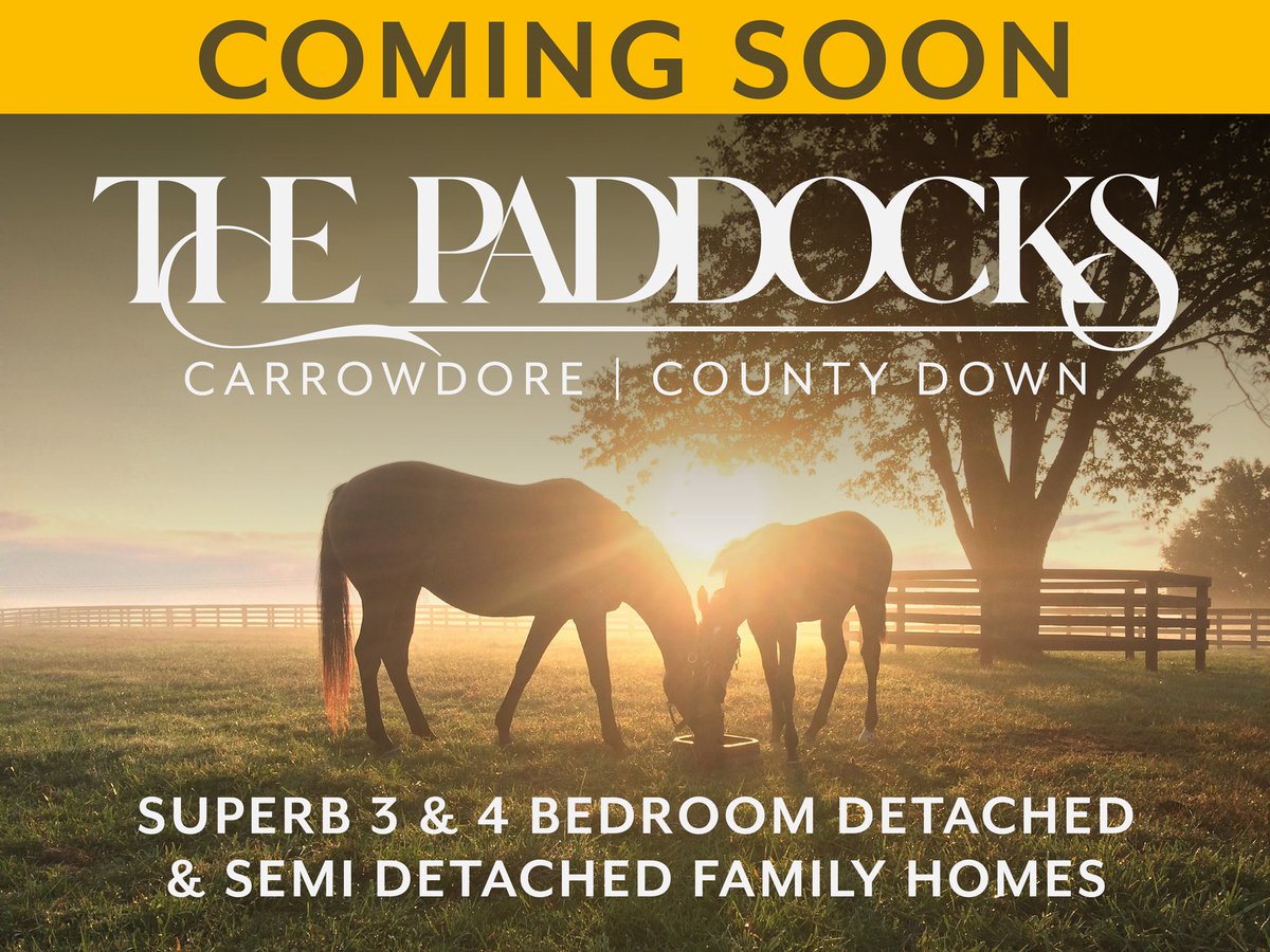 Become a new 𝐧𝐞𝐢𝐠𝐡-bour 🐎 We are very excited to launch our new housing development, ‘The Paddocks’, located in Carrowdore. This superb development of 3 & 4 bedroom detached & semi-detached family homes, will be finished to quality turnkey spec #newdevelopment #housing